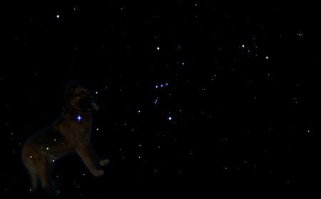 Wolf Constellation Canis major Constelatie, Cainele Mare, Domnul Wolf, Orion